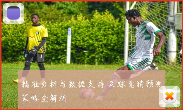 精准分析与数据支持 足球竞猜预测策略全解析