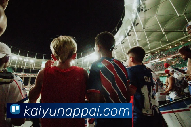 开云平台展示图