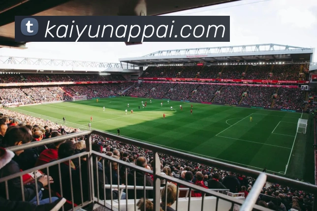 开云足球竞猜最新策略解析与赛季胜率提升全指南