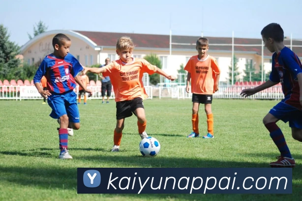 开云娱乐全站App